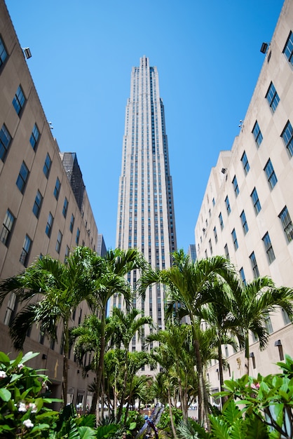 Kostenloses Foto rockefeller center