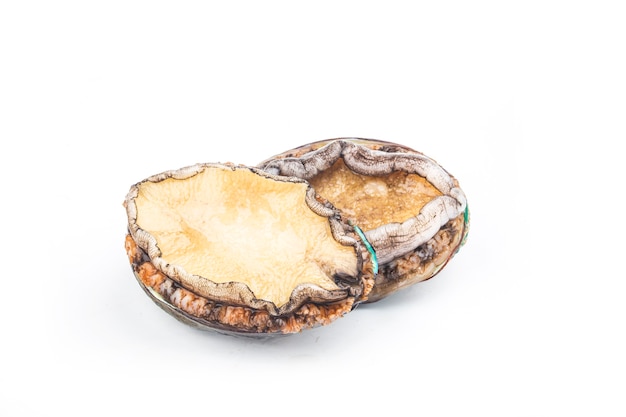 Rohe abalonen auf weißem hintergrund