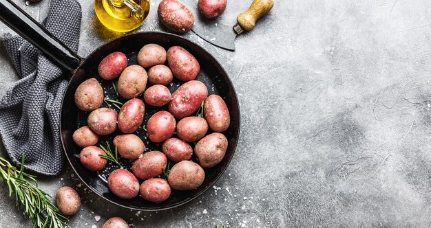 Rohe organische Kartoffeln mit Gewürzen auf grauem Hintergrund