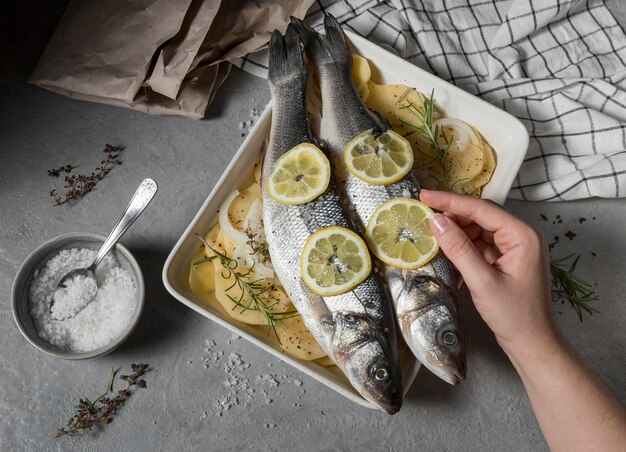 Rohfischzusammensetzung zum Kochen