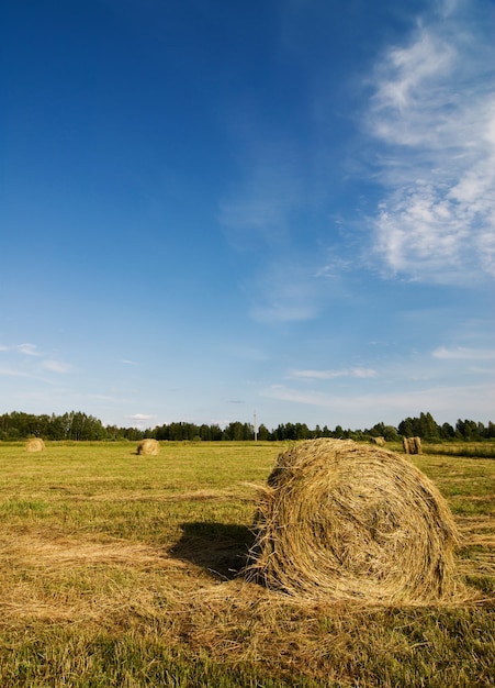 Rolled Hayricks