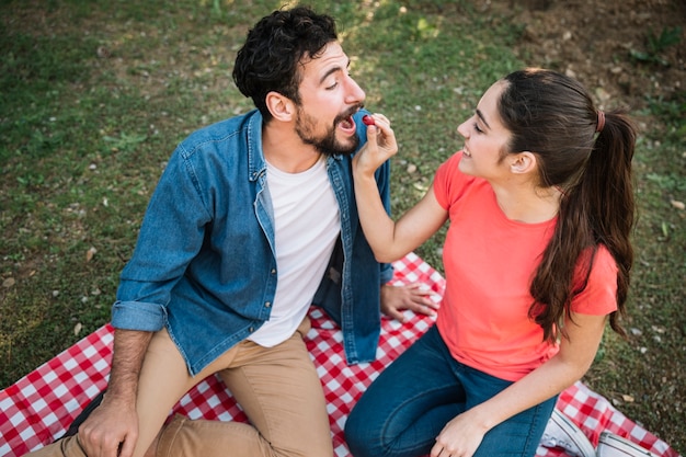 Romantische Paare, die ein Picknick haben