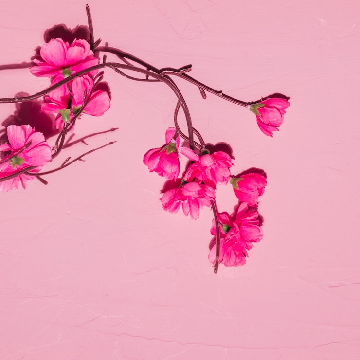 Kostenlose Foto rosa blumen in einer niederlassung