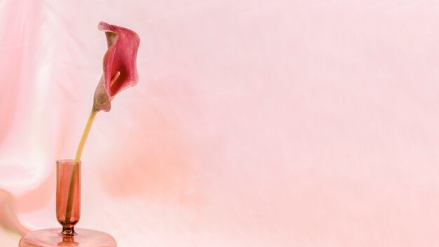 Rosa Lilienblume in einer Vase auf rosa Hintergrund