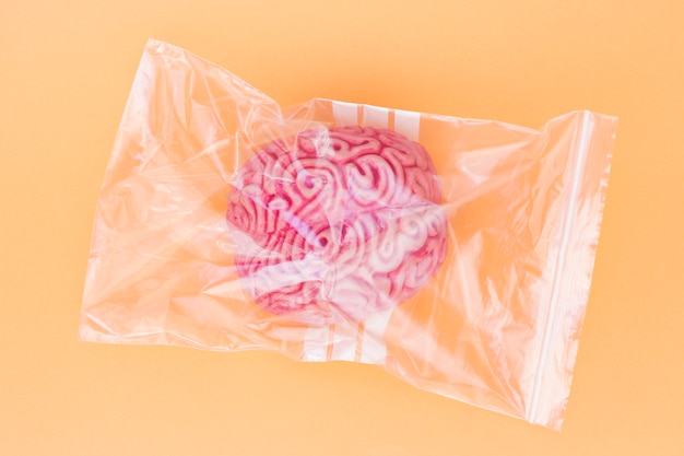 Rosa Modell des menschlichen Gehirns in der Plastiktasche auf gelbem Hintergrund