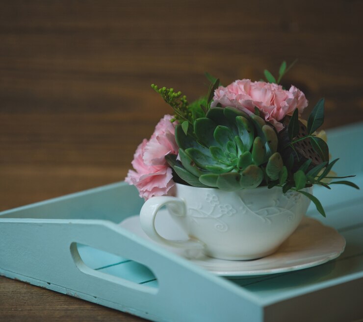 Kostenlose Foto rosa nelken und kaktusblüten in einer tasse
