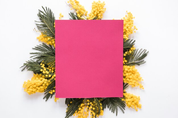 Rosa Papier auf gelben Blumenniederlassungen