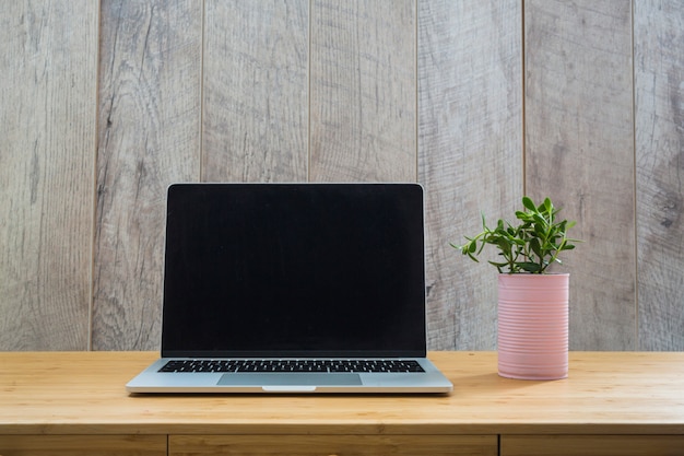 Rosa Topfpflanze mit Laptop auf Holztisch