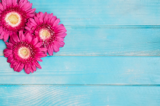 Rosafarbene Blumen auf blauem Holztisch