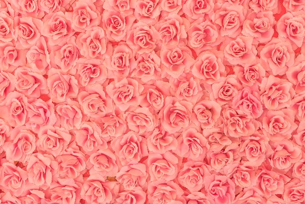 Rosen Hintergrund