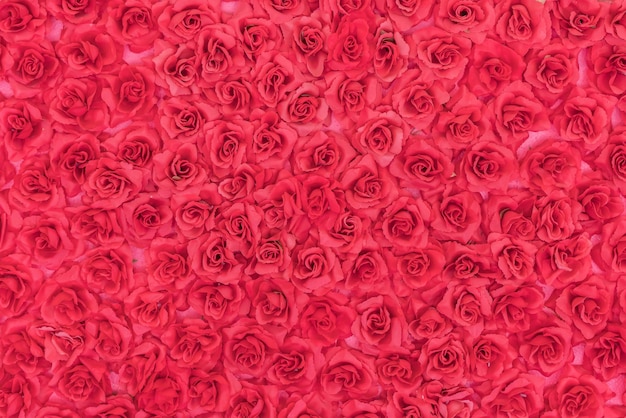 Rosen Hintergrund