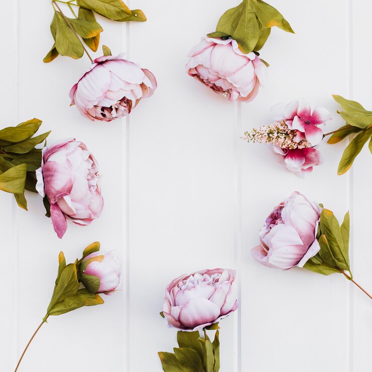 Kostenlose Foto rosen in einem kreis auf weißem holz hintergrund platziert