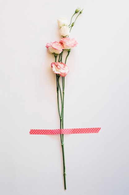 Kostenloses Foto rosen mit klebeband