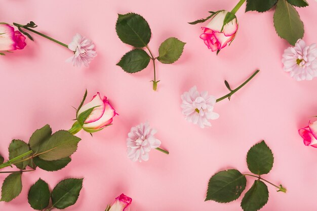 Rosen und Gänseblümchen in der Nähe von Blättern