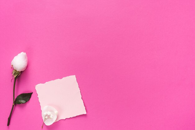 Rosenblume mit leerem Papier auf rosa Tabelle