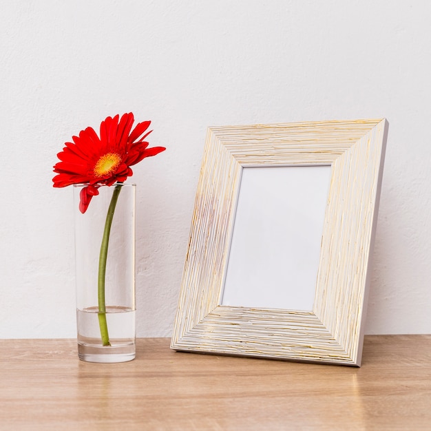 Rote Blume im Glas- und Fotorahmen auf Tabelle