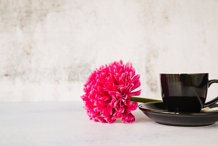 Kostenlose Foto rote blume mit keramischer schwarzer tasse und untertasse gegen weiße wand