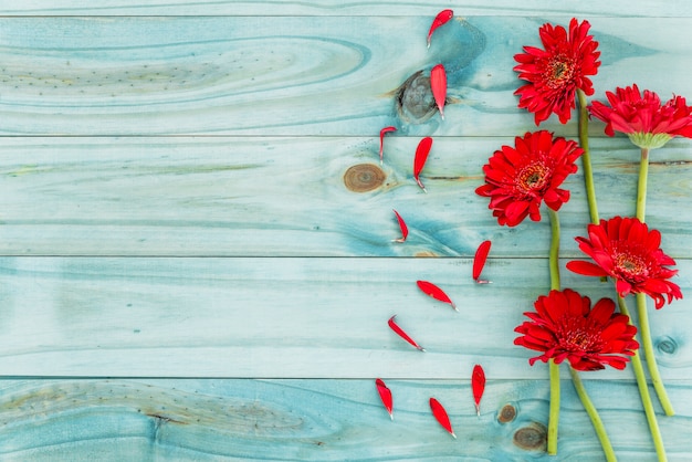 Rote Blumen auf blauem hölzernem Schreibtisch