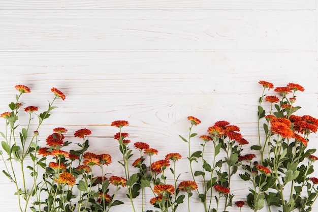 Rote Blumen auf Holztisch verstreut