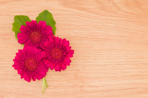 Rote Blumen der Draufsicht auf hölzernem Hintergrund