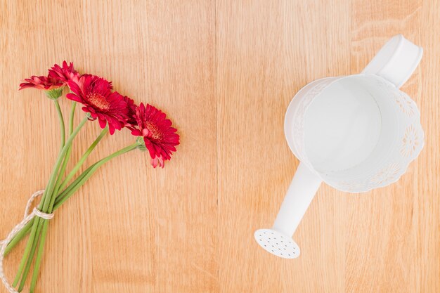 Rote Blumen und Gießkanne der Draufsicht auf hölzernem Hintergrund