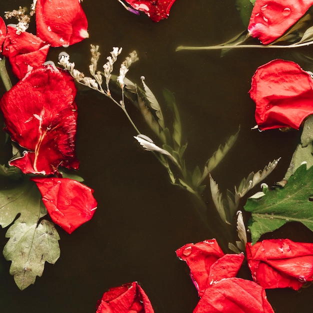 Kostenloses Foto rote blumenblätter der draufsicht mit blättern im schwarzwasser