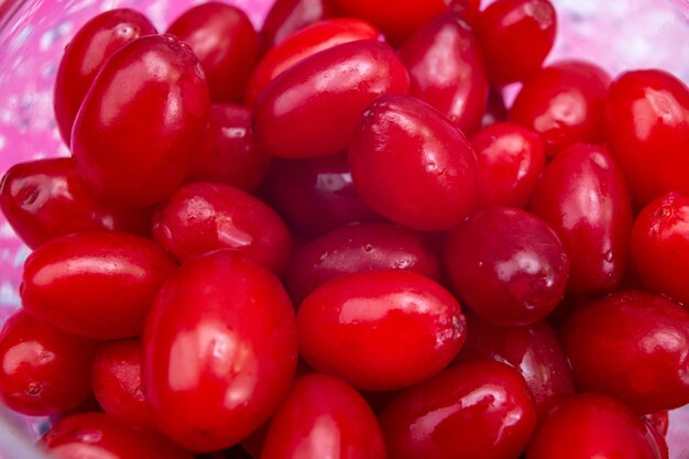 rote frische Hartriegel saure und reife Zusammensetzung