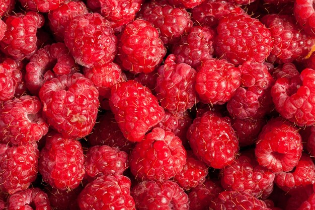 Rote Himbeeren in Nahaufnahme. Rohe Früchte. gesunder Lebensstil