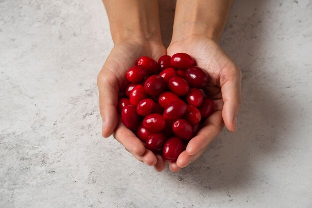 Rote Kornelkirschen in der Hand einer Person.