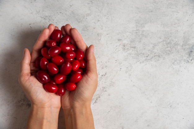 Rote Kornelkirschen in der Hand.