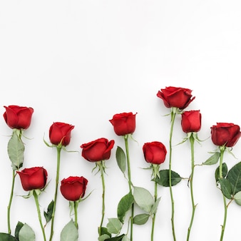Rote Rosen Blumen Premium Foto