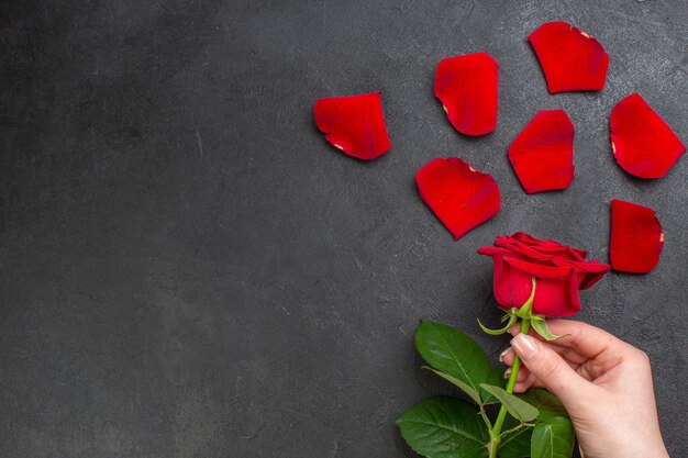 Rote Rosenblätter der Draufsicht für Valentinstag auf einem dunklen Hintergrundherzgeschenkfrauenleidenschaftsgefühlliebespaar