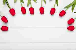 Kostenloses Foto rote tulpen der draufsicht zugeteilt im halbkreis