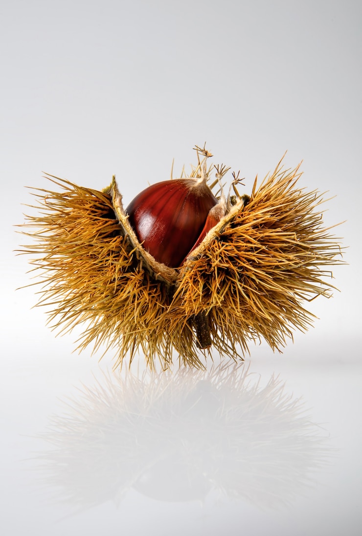 Kostenlose Foto rote zwiebel auf heu