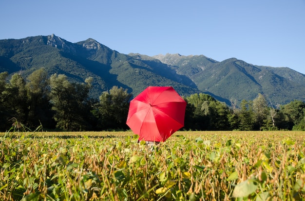Roter Regenschirm in einem Feld, umgeben von Hügeln, die unter dem Sonnenlicht und einem blauen Himmel mit Grün bedeckt sind