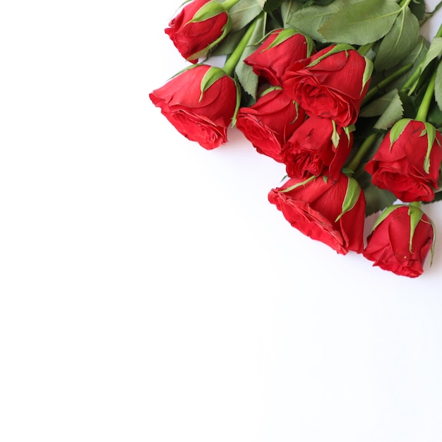 Roter Rosen-Mehrzweckhintergrund für Jahrestag, Hochzeit, Geburtstag oder andere Feiern