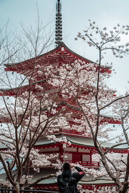 Roter und weißer japanischer Tempel