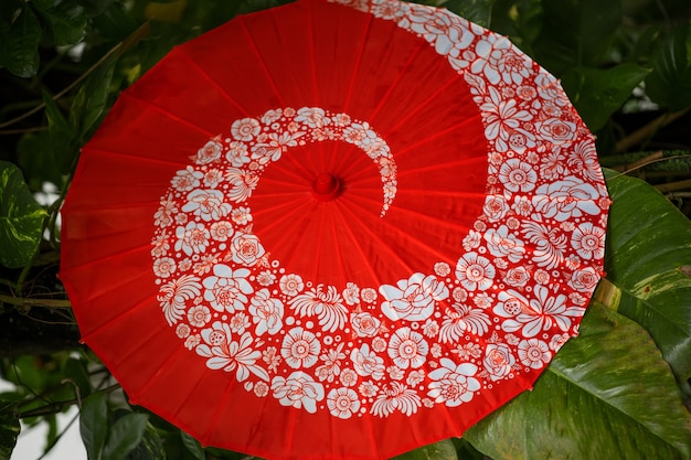 Kostenloses Foto roter wagasa-regenschirm mit grünen blättern