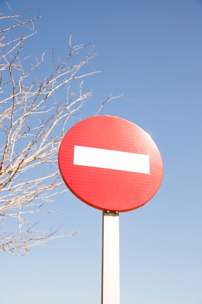 Rotes Endstraßenschild vor bloßem Baum und blauem Himmel