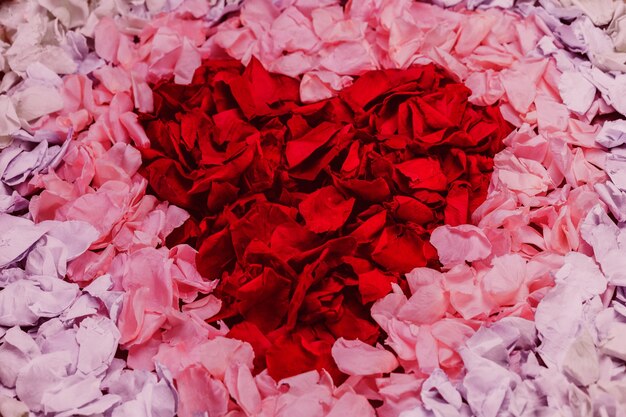 Rotes Herz der Blütenblätter gemacht