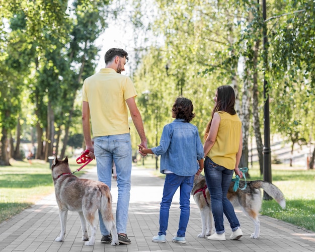 Rückansicht der Familie mit Kind und Hunden draußen im Park