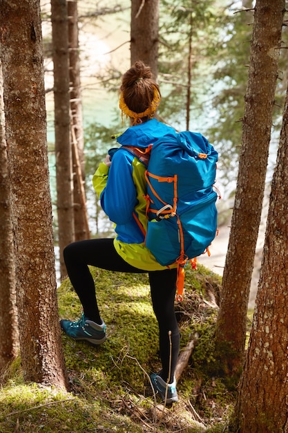 Rückansicht des sportlichen weiblichen Reisenden geht auf Hügel durch Bäume, schaut auf Bergsee herab, genießt, allein in der Natur zu sein