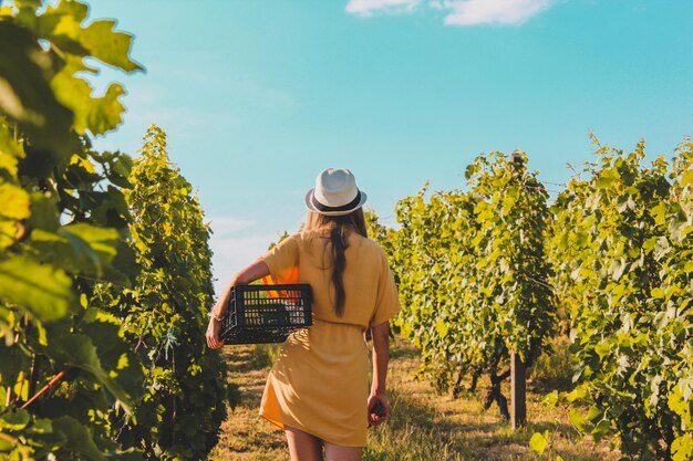 Rückansicht einer Frau im Weinberg