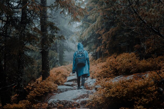 Rückansicht eines Rucksacktouristen in einem Regenmantel, der auf einem felsigen Weg in einem herbstlichen Wald geht