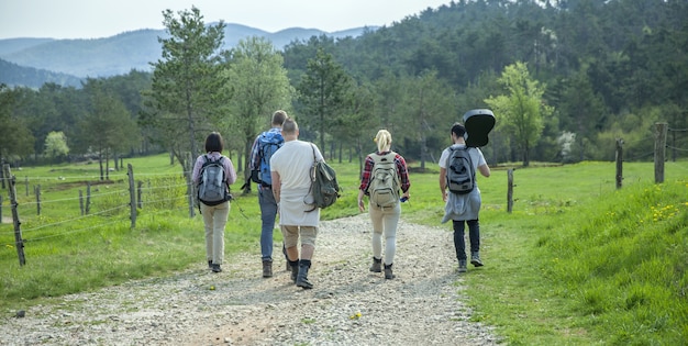 Rückansicht von jungen Freunden mit Rucksäcken, die im Wald gehen und einen guten Sommertag genießen