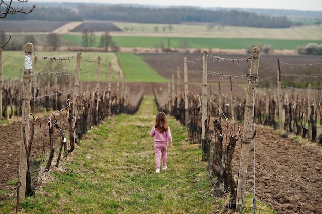 Rückseite des kleinen Mädchens, das im Weinberg spaziert