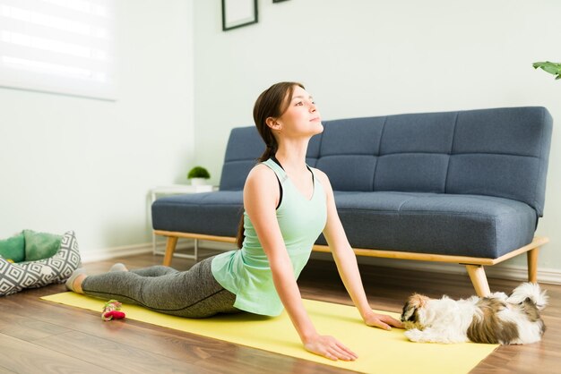 Ruhige junge Frau, die zu Hause mit Yoga-Übungen trainiert und in Begleitung ihres Shih-Tzu-Welpen eine nach oben gerichtete Hundepose macht