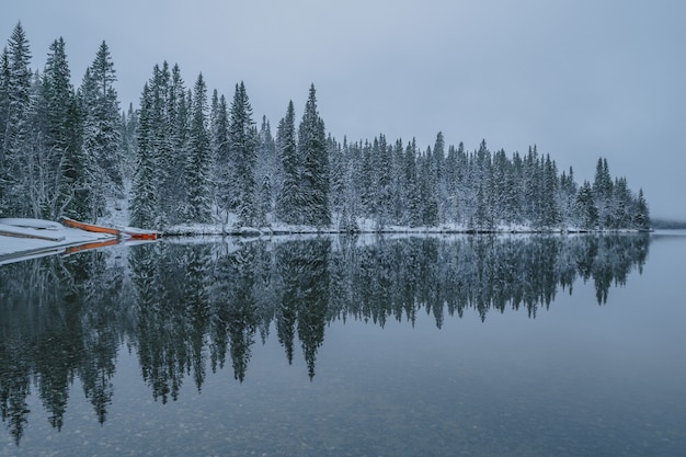 Ruhiger See mit den Reflexionen der schneebedeckten Bäume sichtbar, bei nebligem Wetter im Winter