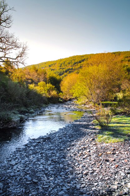 Ruhiger, steiniger Fluss