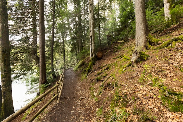 Ruhiges Stück Natur bei Tageslicht